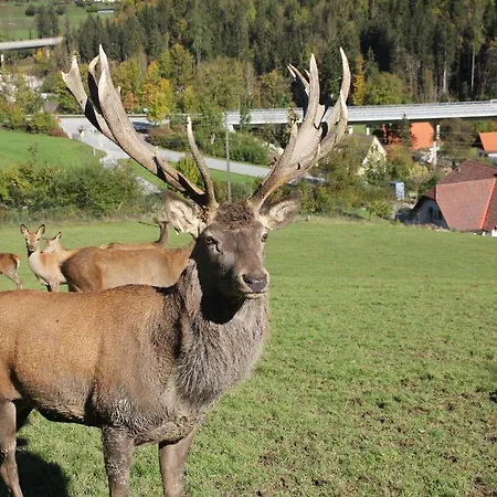 Gaestehof Annerl Rossleithen