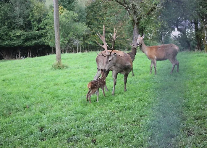 Gaestehof Annerl Апартаменты *
