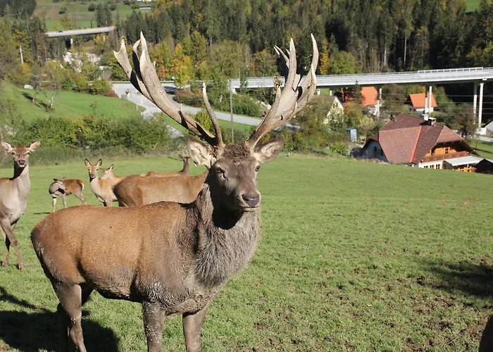 Gaestehof Annerl Рослайтен